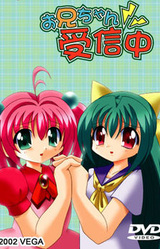 Onii-chan Jushinchuu