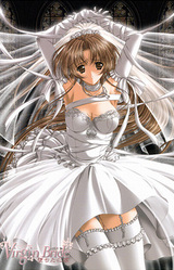 Virgin Bride ~Ochita Hanayome~