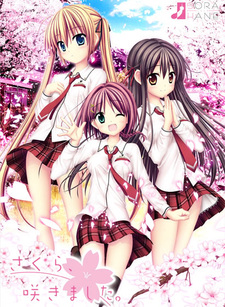 Sakura, Sakimashita.