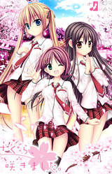 Sakura, Sakimashita.