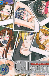 Collection  ~Shuushuu Sareta Akumu~