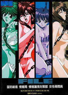 File: Kokubou Soushou Jouhoukyoku Jouhou Rouei Taisaku-bu Josei Jinmon'in