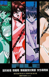 File: Kokubou Soushou Jouhoukyoku Jouhou Rouei Taisaku-bu Josei Jinmon'in