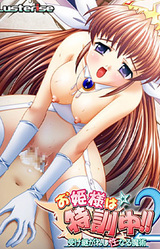 Ohime-sama wa Tokkun Chuu!! 2 Uketsugareshi Seinaru Majutsu