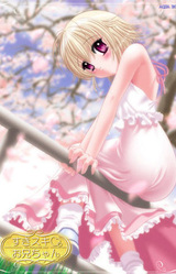 Suki Suki Onii-chan ~The Pretty Little Sister~