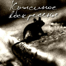 Крысиное воскресенье