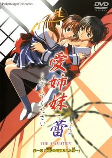 Аморальные сёстры 3