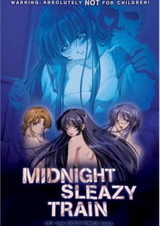 Полуночный поезд