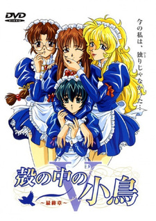 Дневник служанки