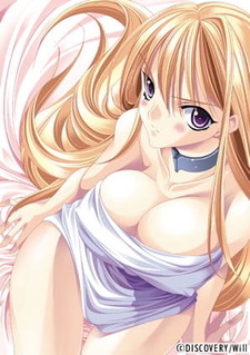 Рынок невольниц