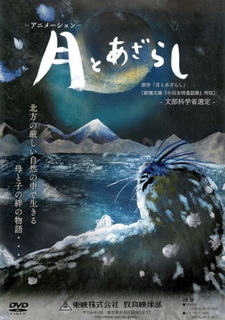 Луна и тюлень