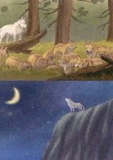 Волк с Лунного пика