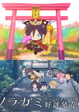 Бездомный кот