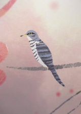 Позволь мне поплакать, кукушка