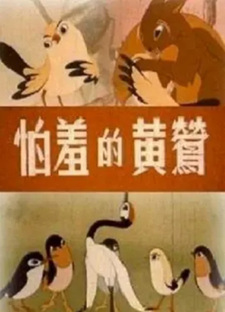 Застенчивая иволга