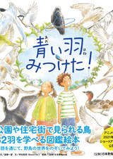 Я нашёл голубое перо! Поищем знакомых птиц