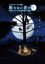 Луна и бессонная ночь