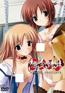 Долг сестры