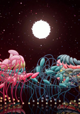 Медленный восход