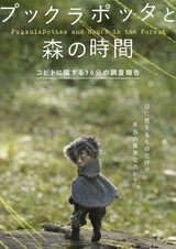 Время в лесу с Пуккулапоттасом