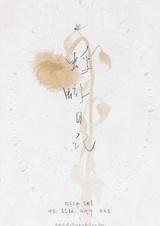 Дневник подёнки