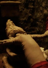 Органический круг