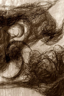 Живая стена