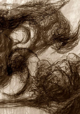 Живая стена