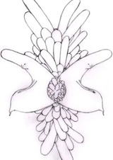 Возможности