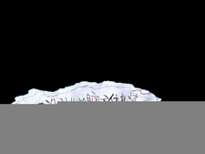 Ni Yizhi Meiyou Rang wo de Naozi Xiuxigou