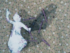 Tori-tachi no Sumu Tokoro