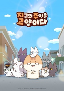 Коты, владеющие миром