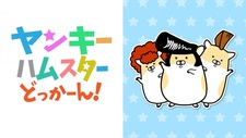 Yankee Hamster Dokkaan!