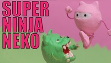 Кошка суперниндзя