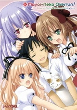 Нашествие бродячих кошек! Спецвыпуски