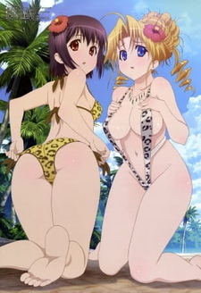 Леди против дворецких! Музыкальные клипы