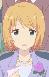 Мать Сонода