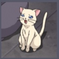 Сёгун Ивасаки