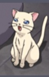 Сёгун Ивасаки