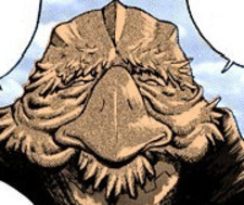 Старая птица