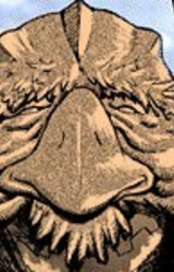 Старая птица