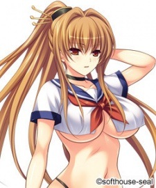 Хибики Химэгами