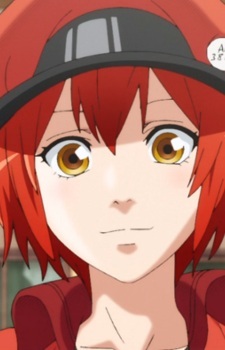 Эритроцит AE-3803