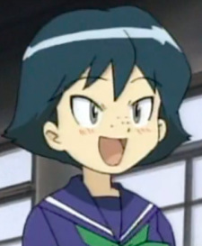 Эрино Когараси