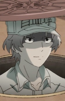 Лейкоцит-4989