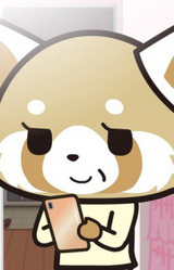 Мать Рэцуко