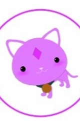 Кот-скиталец