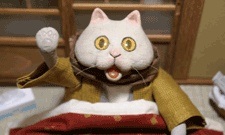 Котацунэко