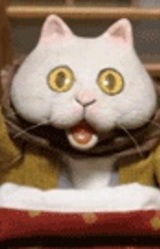 Котацунэко