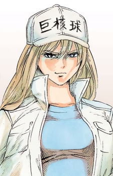 Мегакариоцит